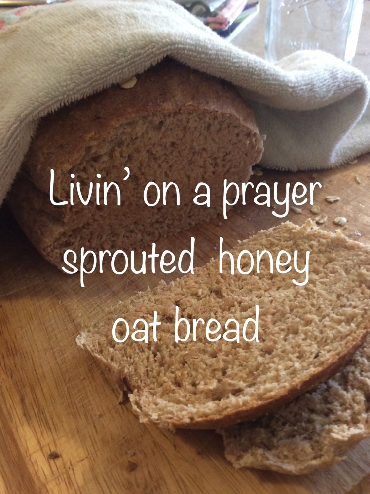 54CE2287-B22D-4845-BF3D-BB9031205AF9